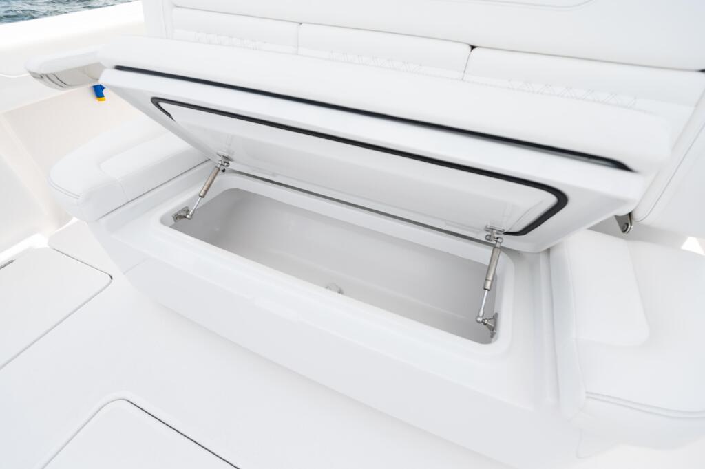 Open livewell storage compartment with gas strut hinge on boat deck